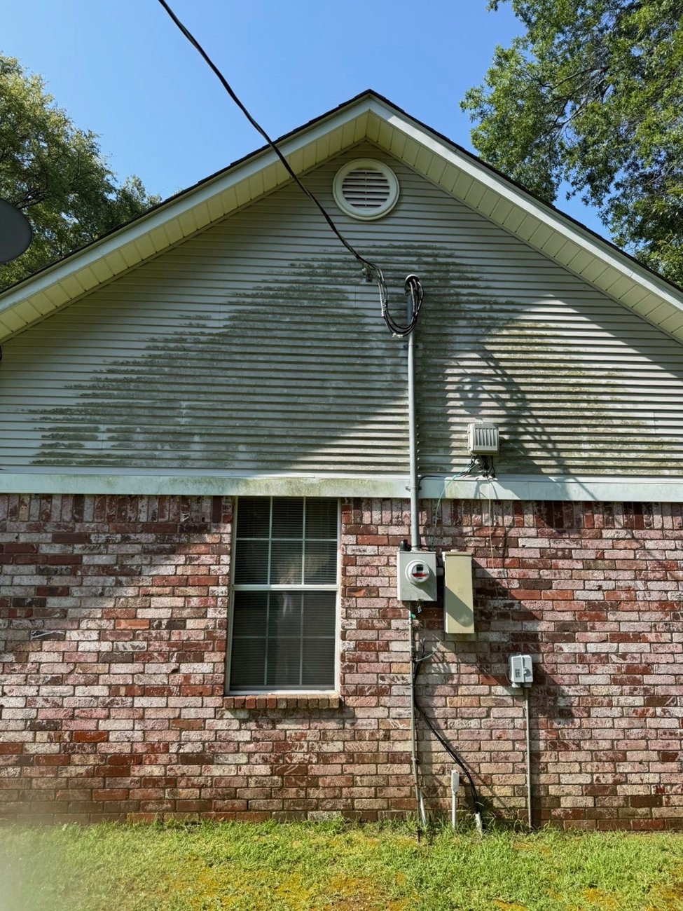 House siding before cleaning